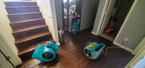 Best Professional water damage repair  in Oakboro, NC