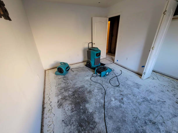 Best Carpet water damage restoration  in Oakboro, NC