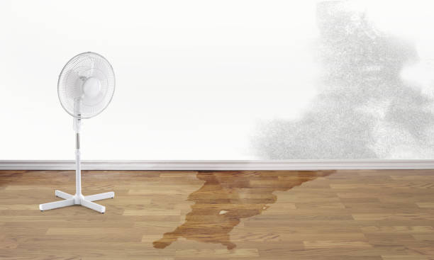 Best Water damage restoration company  in Oakboro, NC