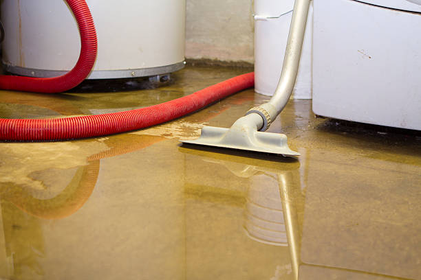 Best Commercial water damage restoration  in Oakboro, NC