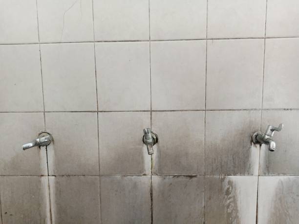 Best 24/7 water damage repair  in Oakboro, NC